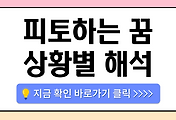 /entry/%ED%94%BC%ED%86%A0%ED%95%98%EB%8A%94-%EA%BF%88-19%EA%B0%80%EC%A7%80-%ED%92%80%EC%9D%B4-%ED%94%BC%EB%A5%BC-%EB%8B%A6%EB%8A%94-%ED%94%BC%EB%A5%BC-%EB%B3%B4%EB%8A%94-%ED%94%BC%EB%A5%BC-%EB%A7%88%EC%8B%9C%EB%8A%94-%EA%BF%88?category=1086519