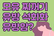 관련글섬네일