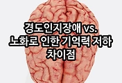 관련글이미지