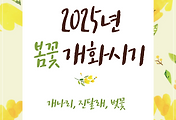 2025년 봄꽃(개나리, 진달래, 벚꽃) 개화 시기 | 봄꽃 개화 예측 지도 썸네일