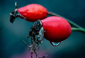 article_related_rep_thumbnail_link