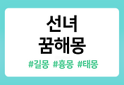 /entry/%EC%84%A0%EB%85%80-%EA%BF%88%ED%95%B4%EB%AA%BD-52%EA%B0%80%EC%A7%80-%ED%92%80%EC%9D%B4?category=1086519