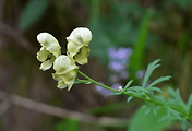 article_related_rep_thumbnail_link