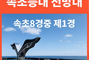 관련글썸네일