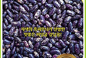 자흑얼룩강낭콩(비넝쿨) 씨앗종자: 독특한 외관과 풍성한 수확!