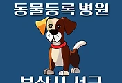 썸네일-부산 서구 동물등록 대행기관, 병원 안내