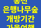 관련글썸네일