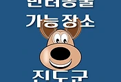 썸네일-진도군 강아지 출입 가능 식당, 카페, 펜션, 반려동물 동반 관람, 체험, 여행지 안내