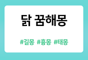 /entry/%EB%8B%AD-%EA%BF%88%ED%95%B4%EB%AA%BD-53%EA%B0%80%EC%A7%80-%EC%B5%9C%EC%8B%A0-%EC%99%84%EB%B2%BD-%ED%92%80%EC%9D%B4?category=1086519