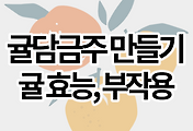 스킨이미지6