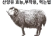 artticle-related-rep-link1