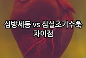 관련글이미지