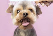 img-related-thumbnail