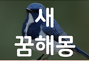 thumbnail6