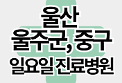 스킨이미지6