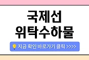 /entry/%ED%95%B4%EC%99%B8%EC%97%AC%ED%96%89-%ED%95%84%EC%88%98-%EC%B2%B4%ED%81%AC-%EA%B5%AD%EC%A0%9C%EC%84%A0-%EC%9C%84%ED%83%81%EC%88%98%ED%95%98%EB%AC%BC-%EC%95%A1%EC%B2%B4-%EB%B0%98%EC%9E%85-%EA%B0%80%EB%8A%A5-%EC%9A%A9%EB%9F%89?category=1084930