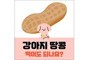 섬네일