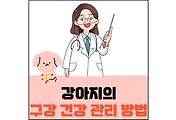 섬네일