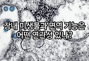 관련글이미지