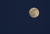 설명~