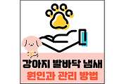 섬네일
