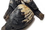article_related_rep_thumbnail_link