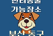 썸네일-부산 동구 반려동물 출입 가능 식당, 카페, 펜션, 강아지 동반 관람, 체험, 여행지 안내