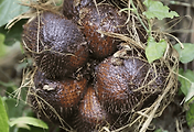 article_related_rep_thumbnail_link