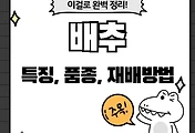 테스트5