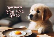 썸네일-/entry/%EA%B0%95%EC%95%84%EC%A7%80%EC%97%90%EA%B2%8C-%EB%8B%AC-%EA%B3%84%EB%9E%80%EC%9D%84-%EB%A8%B9%EC%97%AC%EB%8F%84-%EB%90%A0%EA%B9%8C