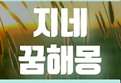 thumbnail6