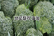thumbnail6