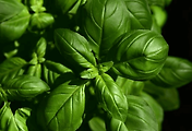 article_related_rep_thumbnail_link