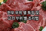 관련글이미지
