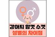 섬네일