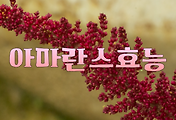 article_related_rep_thumbnail_link