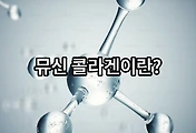 관련글이미지