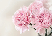 cover_item_thumbnail2