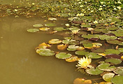 thumbnail6