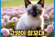 thumbnail6