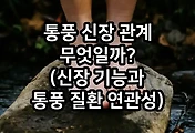 관련글이미지