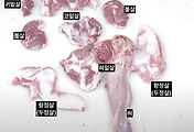 img-related-thumbnail