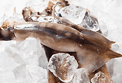 article_related_rep_thumbnail_link