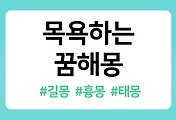 /entry/%EB%AA%A9%EC%9A%95%ED%95%98%EB%8A%94-%EA%BF%88%ED%95%B4%EB%AA%BD-27%EA%B0%80%EC%A7%80-%ED%92%80%EC%9D%B4-%E2%80%93-%EC%94%BB%EB%8A%94-%EA%BF%88%EC%9D%98-%EC%9D%98%EB%AF%B8%EB%8A%94?category=1086519