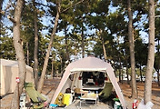 article_related_rep_thumbnail_link_1