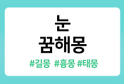 /entry/%EB%88%88-%EA%BF%88%ED%95%B4%EB%AA%BD-17%EA%B0%80%EC%A7%80-%ED%92%80%EC%9D%B4?category=1086519