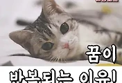 article_rep_thumbnail