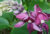 article_related_rep_thumbnail_link