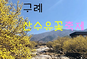 관련글