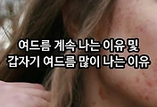 관련글이미지
